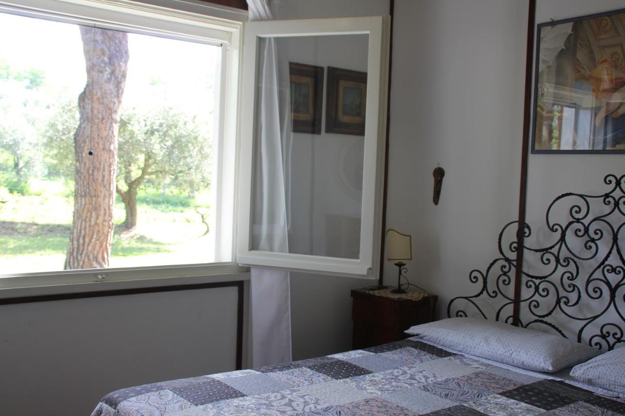 La Villa Del Nonno Montefelcino Zewnętrze zdjęcie